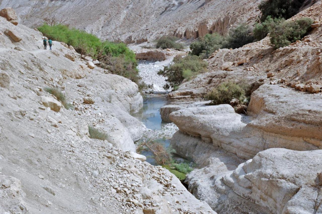 Hotel Badolina Ein Gedi Glamping Exterior foto