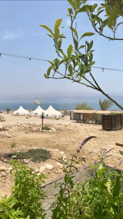Hotel Badolina Ein Gedi Glamping Exterior foto