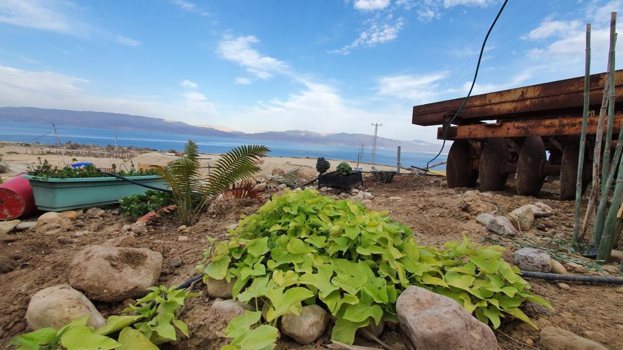 Hotel Badolina Ein Gedi Glamping Exterior foto